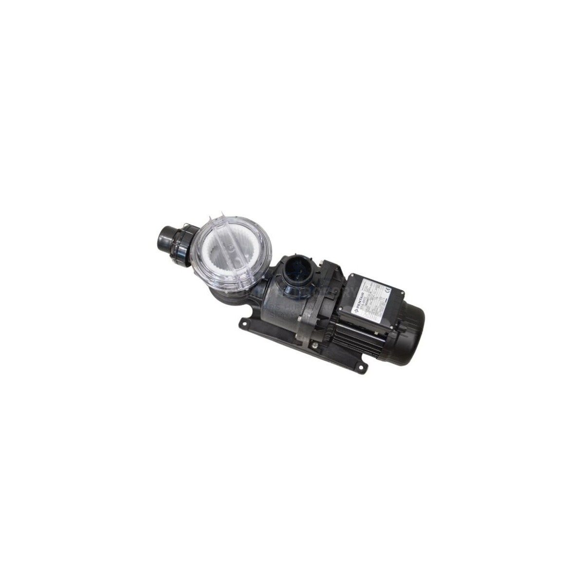 NOCCHI Sw 19 M 1 HP Havuz Pompası