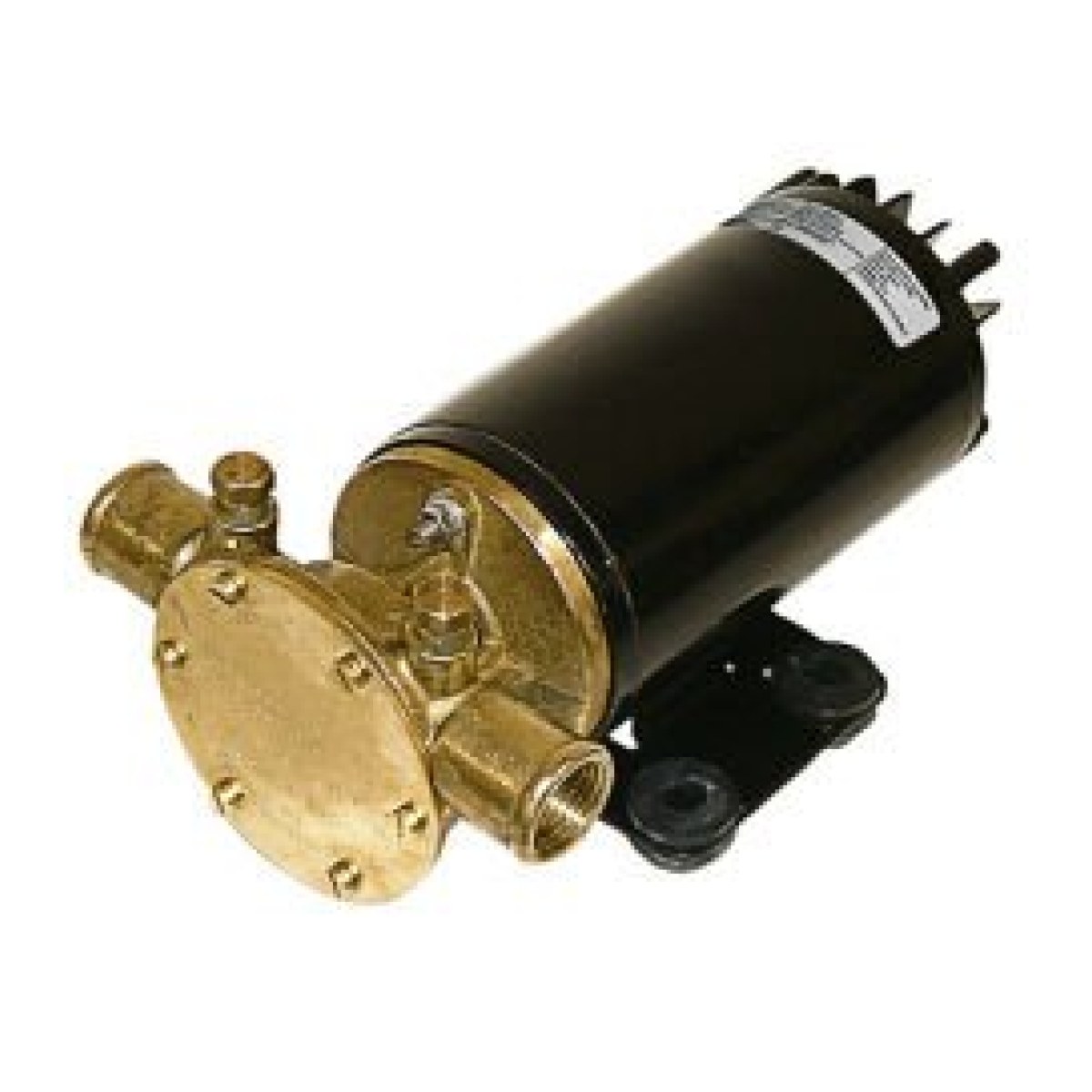 F4B-19 12V IMPELLER PUMP 1/2'' BSP