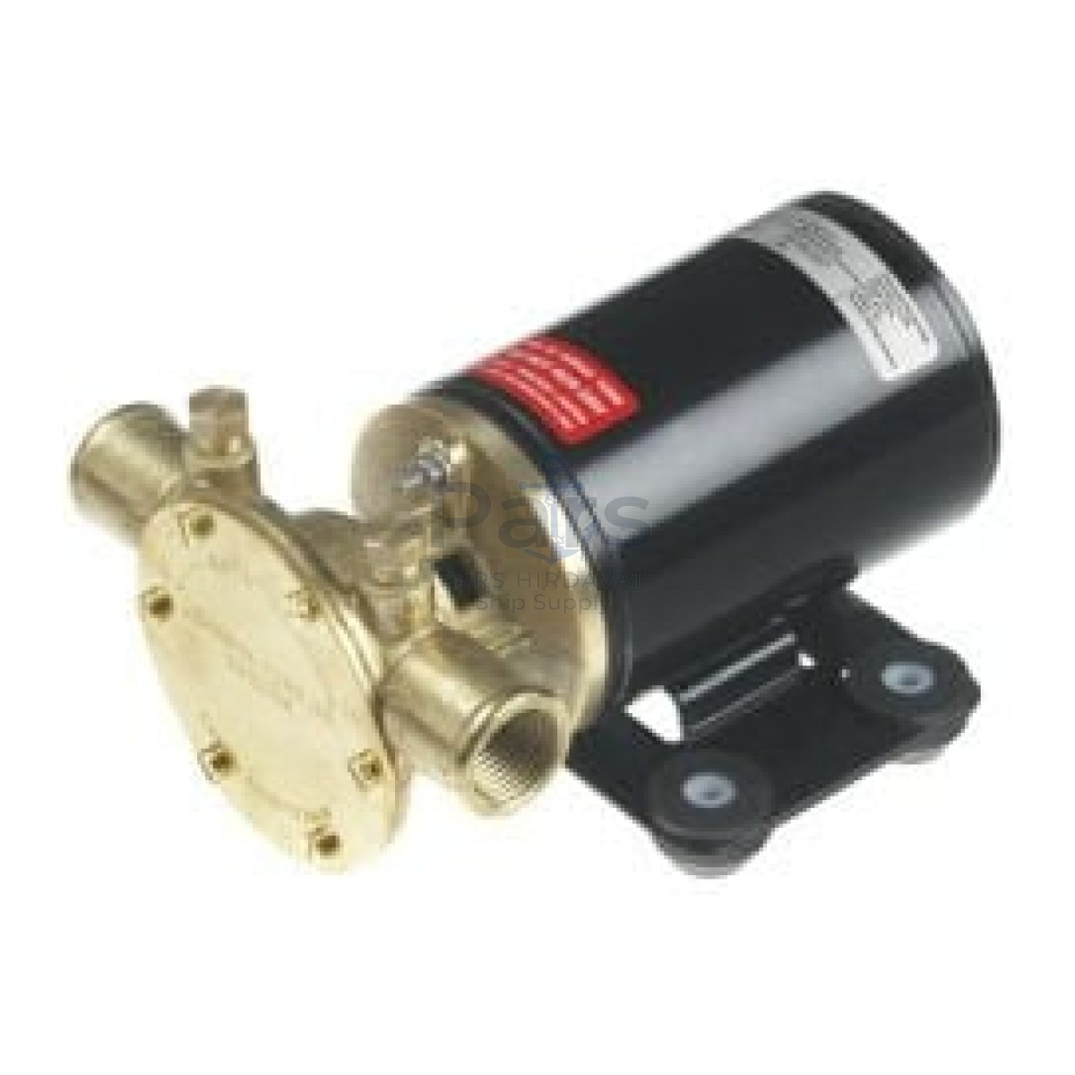 F38B-19 12V IMPELLER PUMP 1/2'' BSP