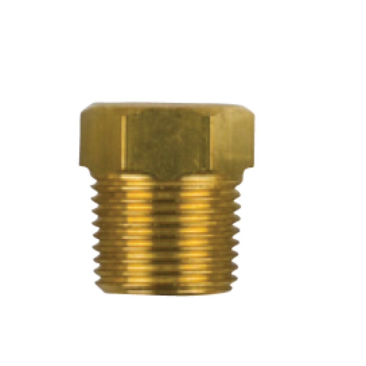 01318TP /YANMAR TAPA DİŞ:3/8'' GAS CONICO