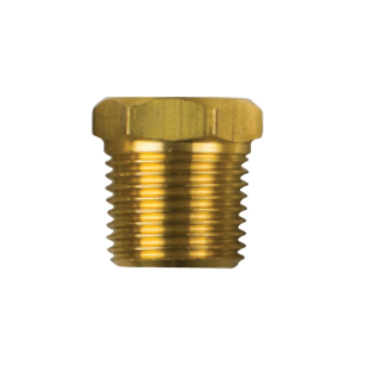 01317TP / YANMAR TAPA DİŞ:1/2'' GAS CONICO