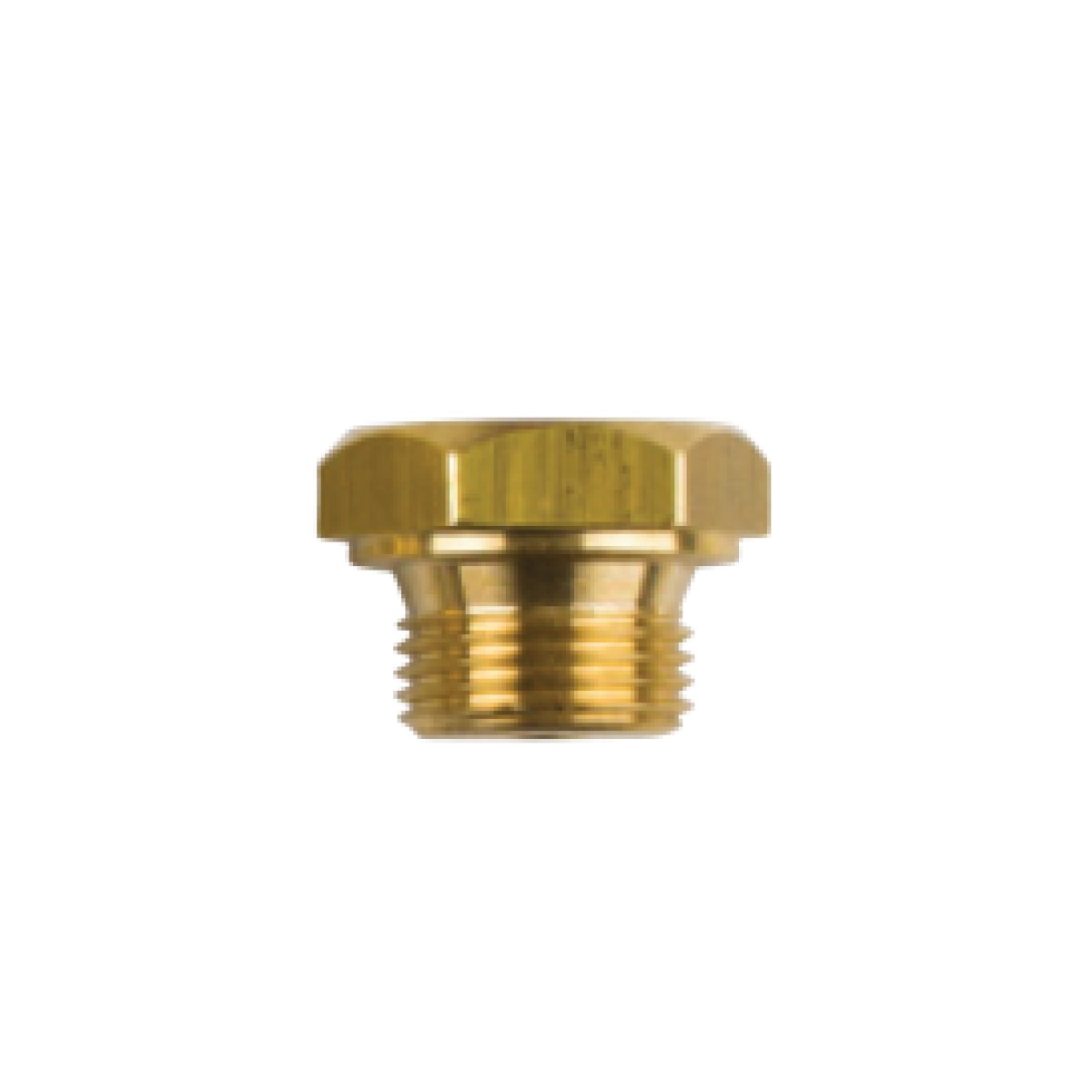 02003TP / GENERAL MOTOR TAPA DİŞ: 3/8''BSPT (2027TP İLE AYNI)