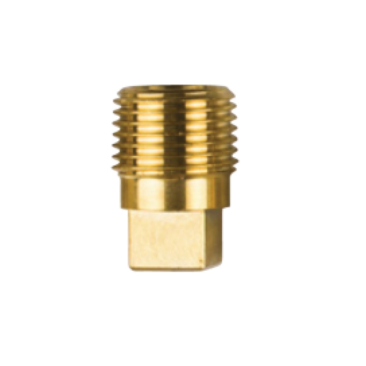 02000TP / GENERAL MOTOR TAPA DİŞ: 1/2'' BSPT