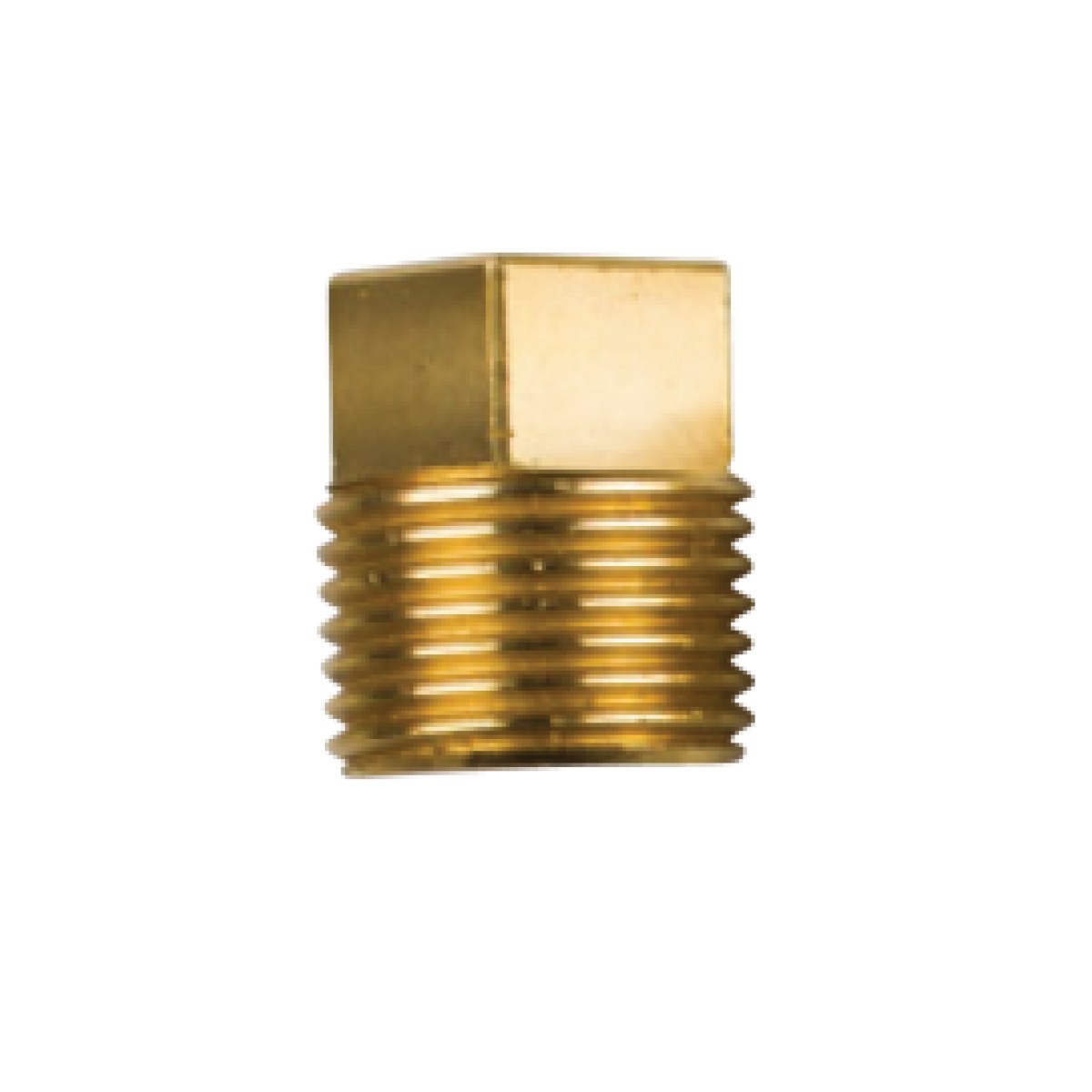 02027TP / CATERPILLAR TAPA DİŞ: 3/8'' BSPT