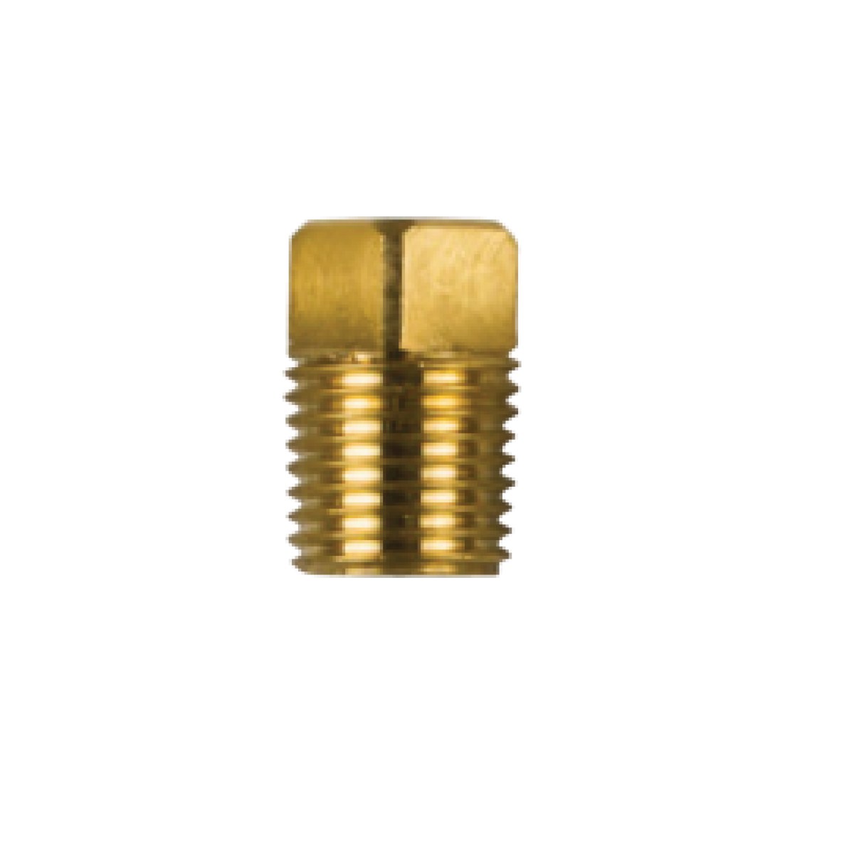 02021TP / CATERPILLAR TAPA DİŞ: 1/4'' BSPT