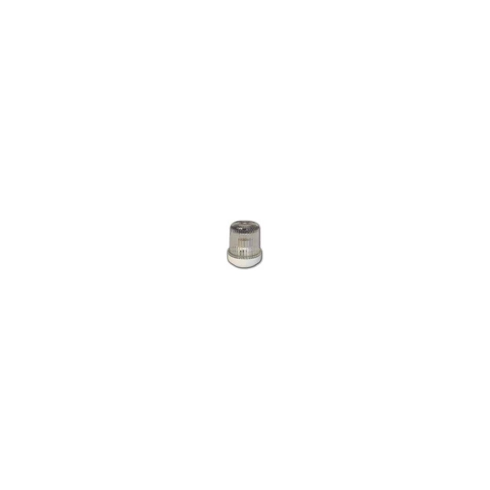 SL 12 Pupa Lighti