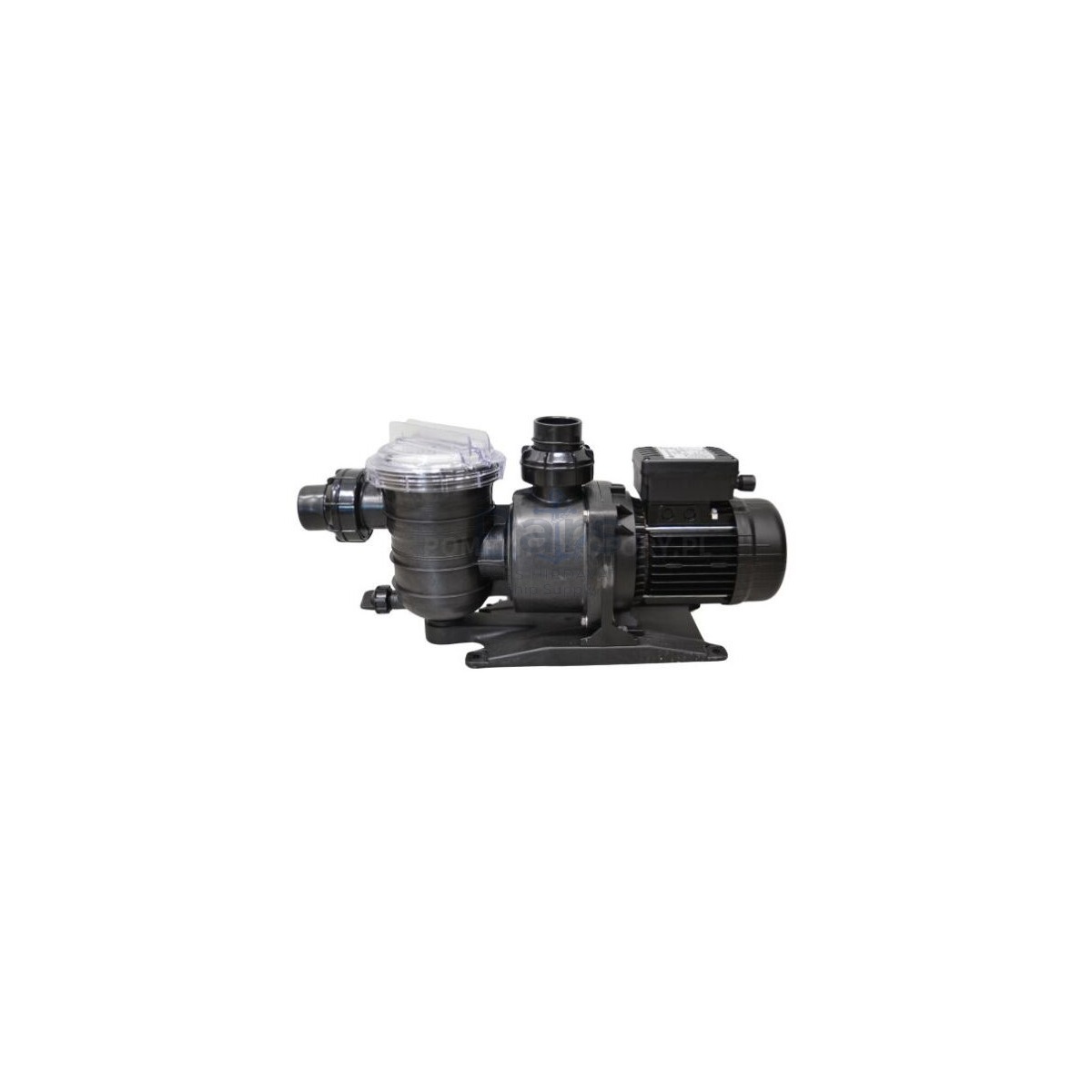 NOCCHI Sw 28 M 1,5 HP Havuz Pompası