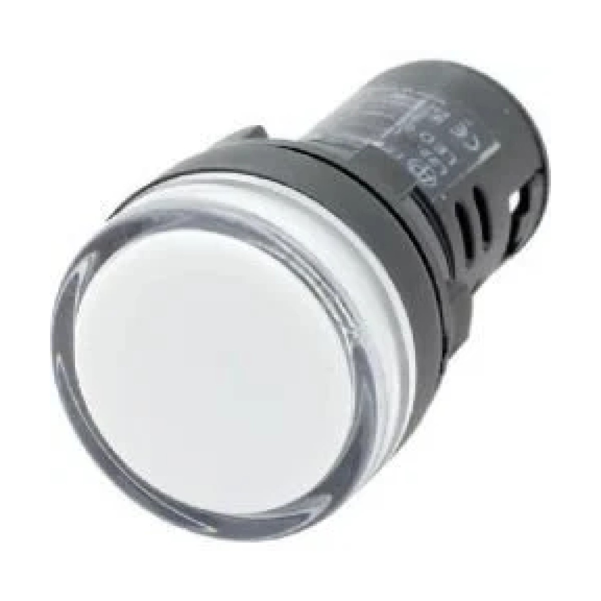 LAY5-EV166 Neon Sinyal Lambası