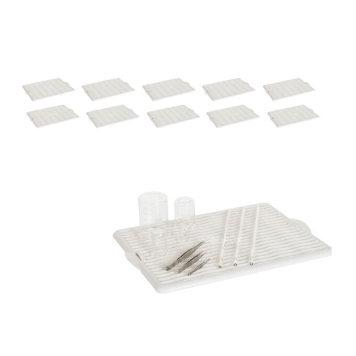 Borox Laboratuvar Kurutma Tepsisi - Bulaşık Sepeti 10 pcs