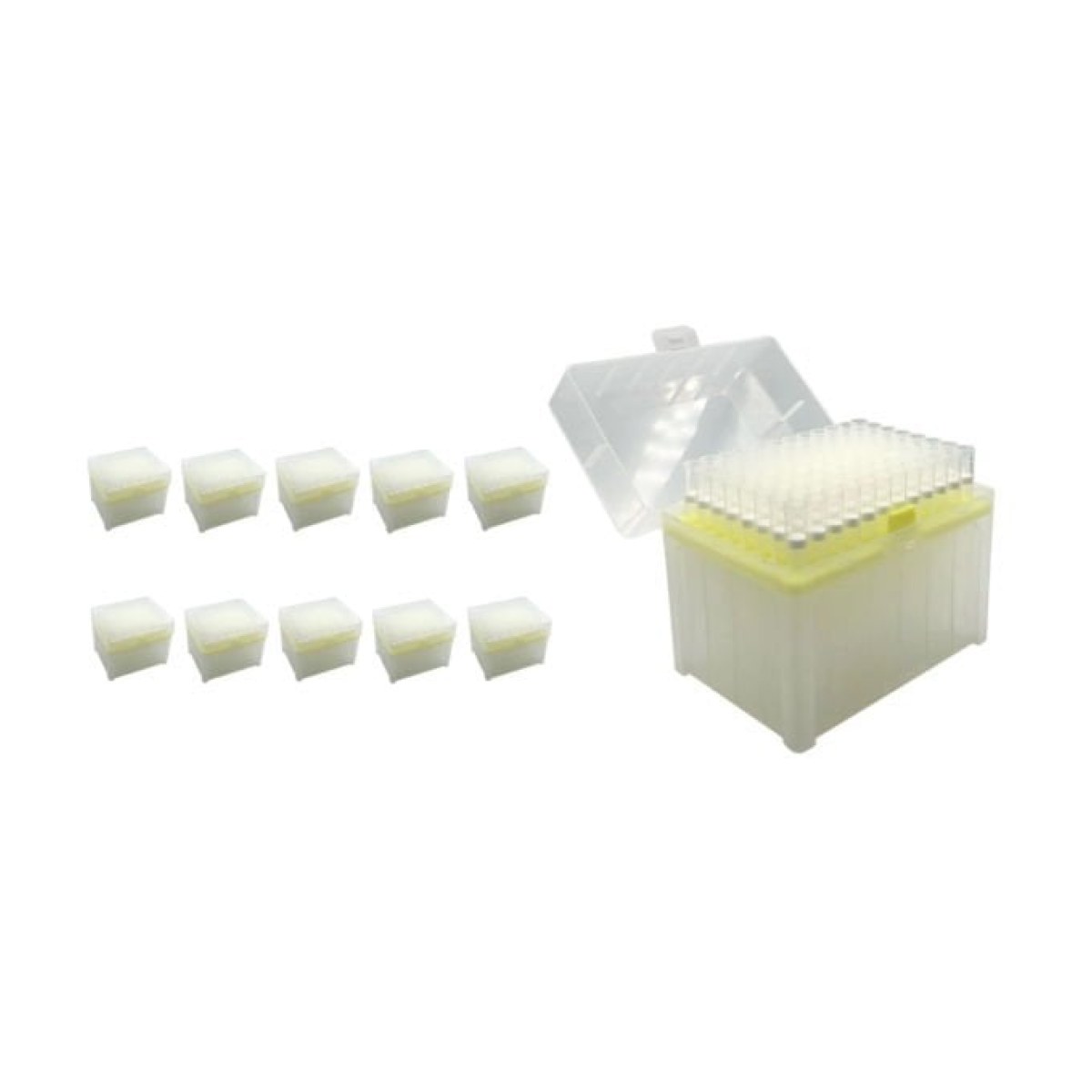 Borox Filtreli Pipet Ucu Steril 100-1000 µl - Uzun - 10 pcs Toptan