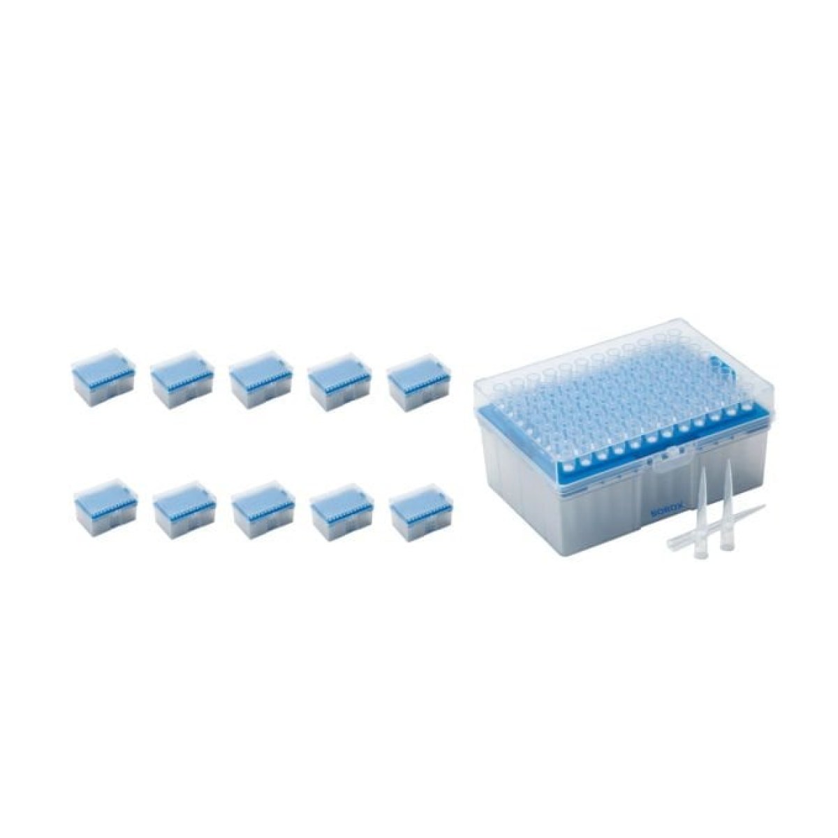 Borox Filtreli Pipet Ucu Steril 100 µl - Uzun Şeffaf 10 Paket Toptan
