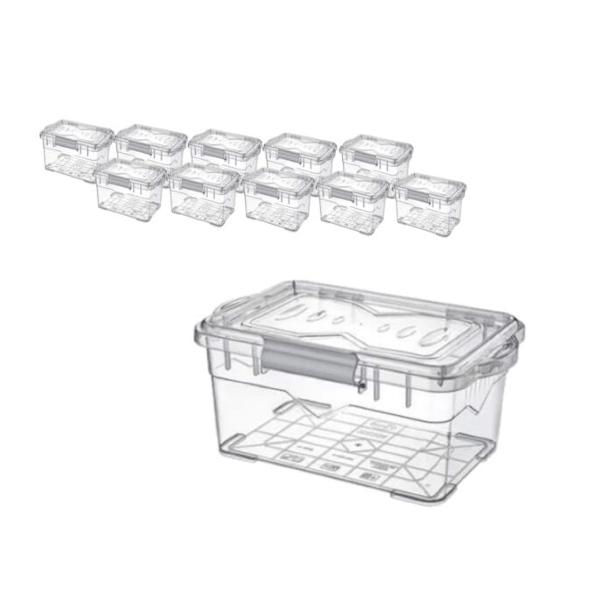 Borox Numune Saklama Kabı 10 L - Kilit Kapaklı Kutu 10 pcs