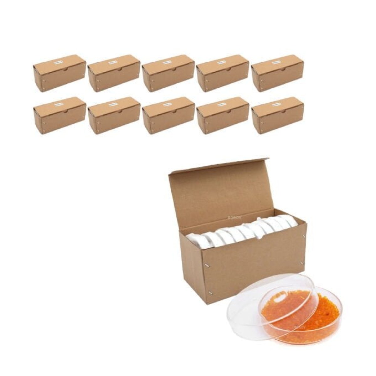 Borox Cam Petri Kabı 75mm - Petri Kutusu Petri Dish 200 pcs Toptan