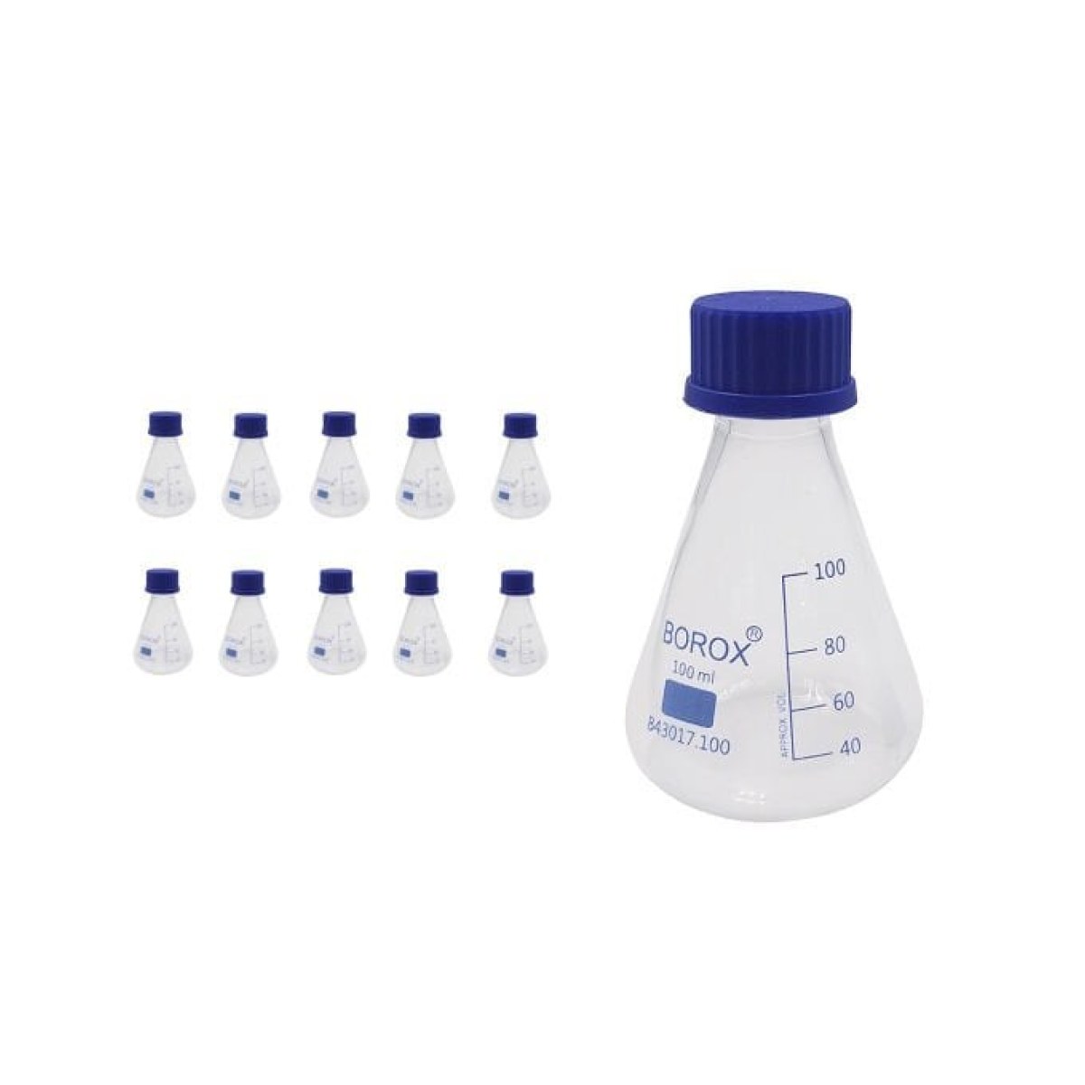 Borox Cam Erlen 100 ml - Erlenmeyer Flask Vida Kapaklı - 10 pcs Toptan