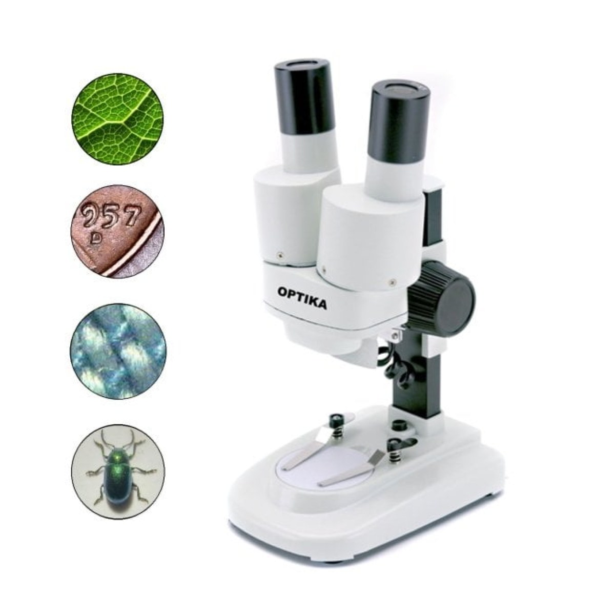 OPTIKA STX Binoküler Stereo Mikroskop - Başlangıç Seviyesi Öğrenci Mikroskobu