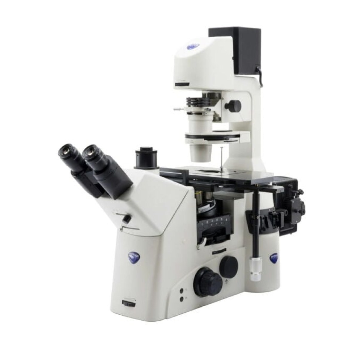 OPTIKA IM-7 Trinoküler Ters Faz Kontrast Mikroskobu - Inverted Mikroskop
